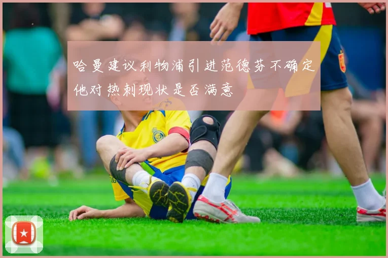 哈曼建议利物浦引进范德芬不确定他对热刺现状是否满意