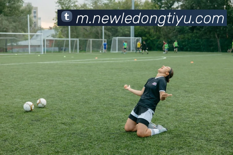 App Interface Preview