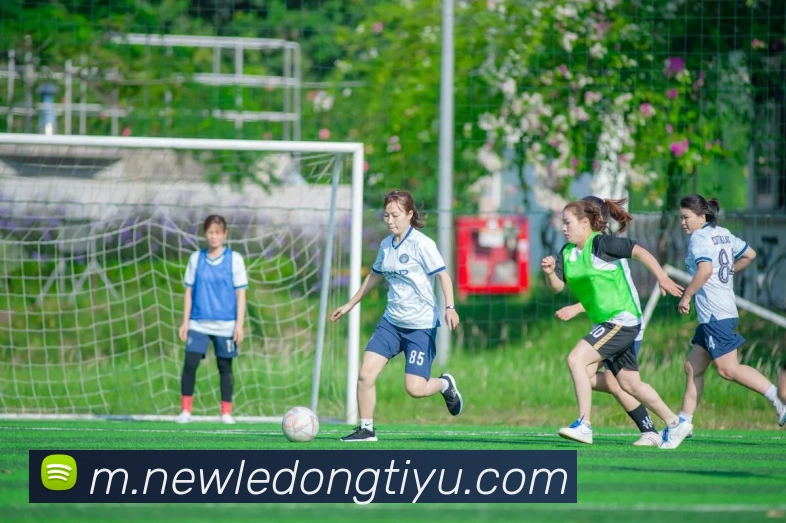 乐动体育APP 封面图