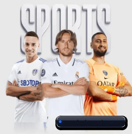 乐动体育 APP（LDSPORTS）