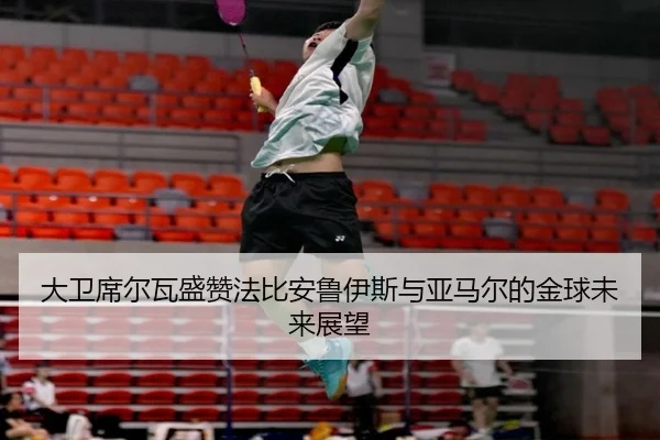 大卫席尔瓦盛赞法比安鲁伊斯与亚马尔的金球未来展望（LDSPORTS）